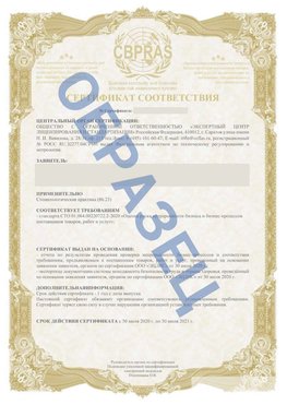 Образец Сертификат СТО 01.064.00220722.2-2020 Большой Камень Сертификат СТО 01.064.00220722.2-2020 